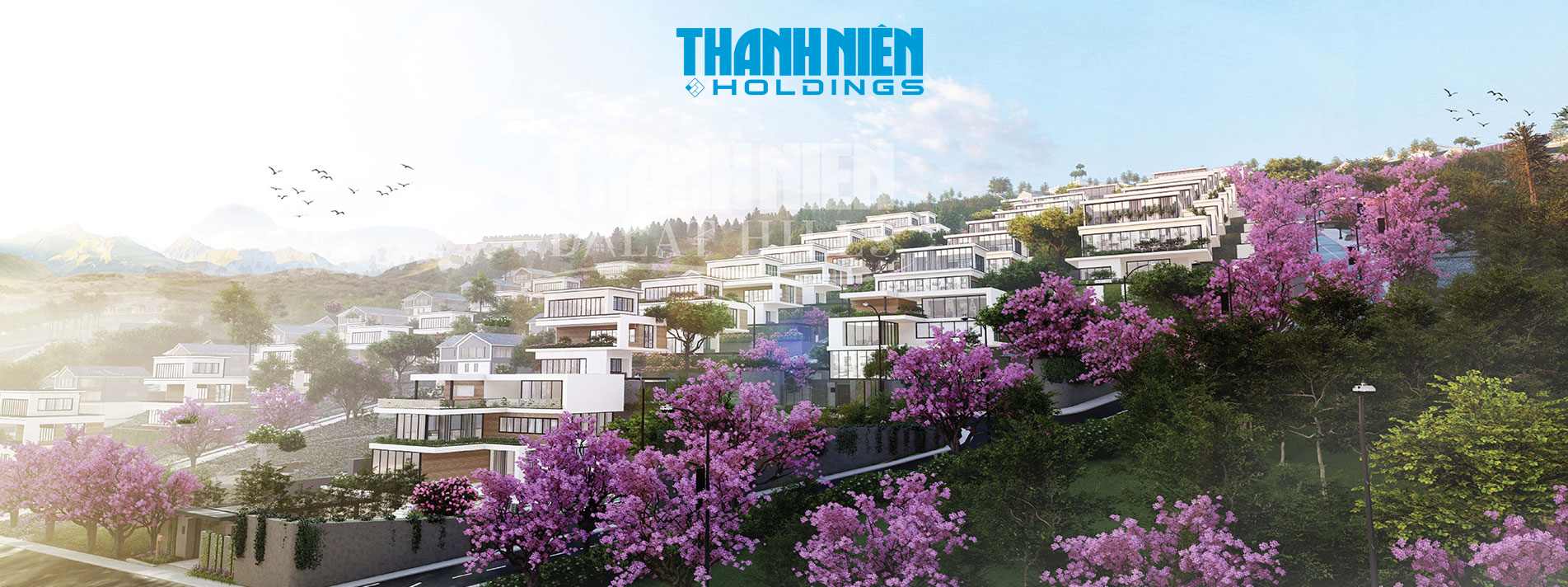 Thanh Niên Holdings