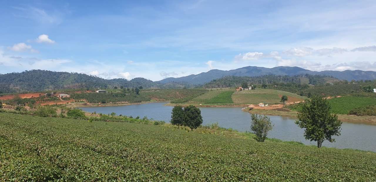 Bất động sản Lâm Đồng - Dự án Phúc Thọ Village - Hình ảnh thực tế